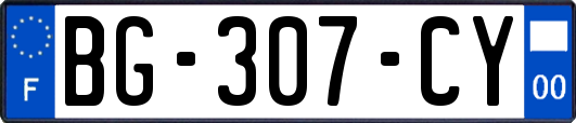 BG-307-CY