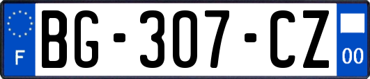 BG-307-CZ