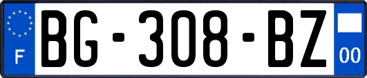 BG-308-BZ