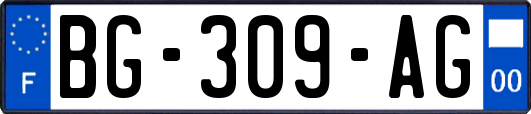 BG-309-AG