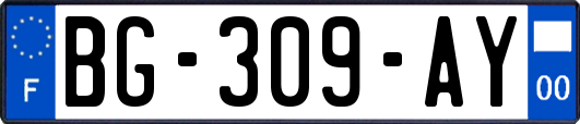 BG-309-AY