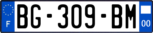 BG-309-BM