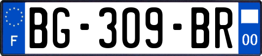 BG-309-BR