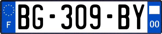 BG-309-BY