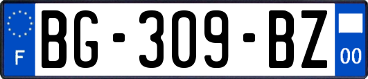 BG-309-BZ