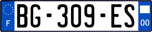 BG-309-ES