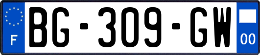 BG-309-GW