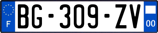 BG-309-ZV