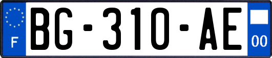 BG-310-AE