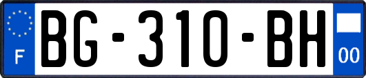 BG-310-BH