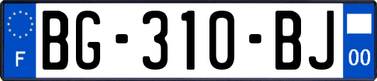 BG-310-BJ