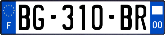 BG-310-BR