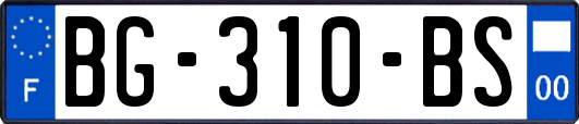 BG-310-BS