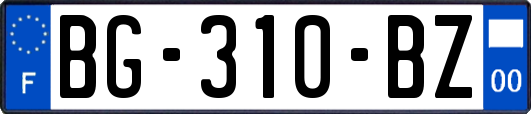 BG-310-BZ