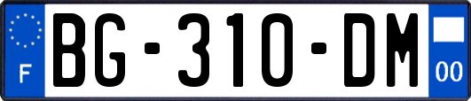 BG-310-DM
