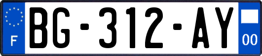 BG-312-AY