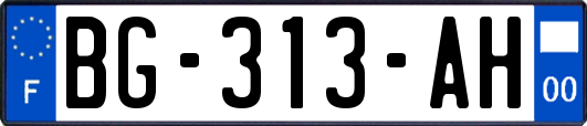 BG-313-AH
