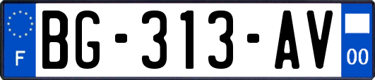 BG-313-AV