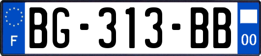 BG-313-BB