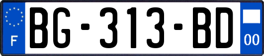 BG-313-BD