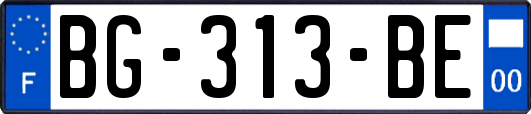 BG-313-BE