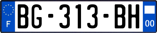 BG-313-BH