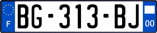 BG-313-BJ