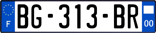 BG-313-BR