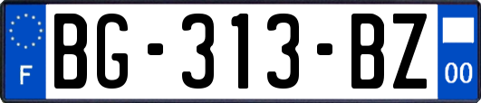 BG-313-BZ