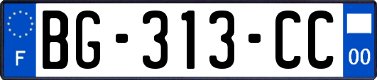BG-313-CC