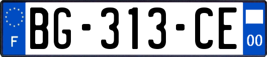 BG-313-CE