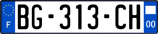 BG-313-CH