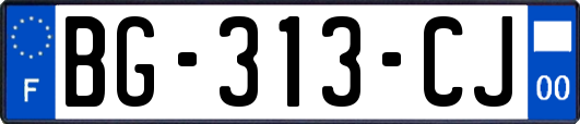 BG-313-CJ