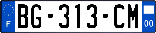 BG-313-CM