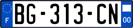 BG-313-CN