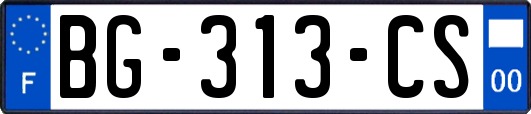 BG-313-CS