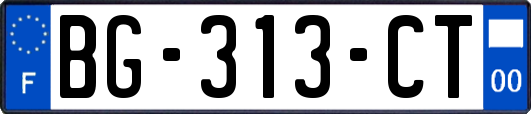 BG-313-CT