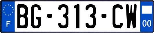 BG-313-CW