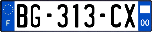 BG-313-CX