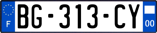 BG-313-CY