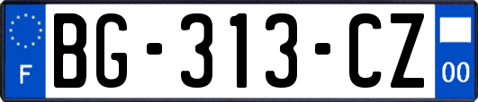 BG-313-CZ