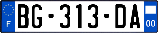 BG-313-DA
