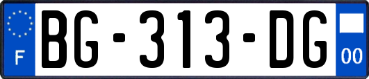 BG-313-DG