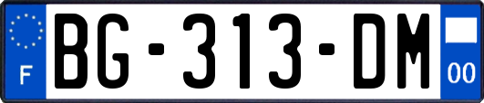 BG-313-DM
