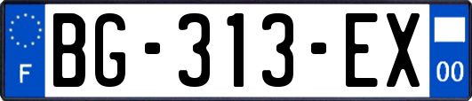 BG-313-EX