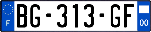 BG-313-GF