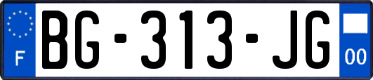 BG-313-JG