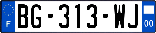 BG-313-WJ