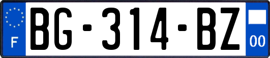 BG-314-BZ