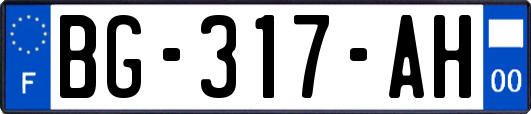 BG-317-AH